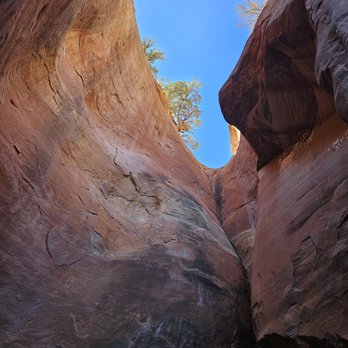 Colorado National Monument - Box canyon at the end of the Nature Trail behind the visit center - Hiking Near Me - Fruita, Colorado Colorado National Monument - Box canyon at the end of the Nature Trail behind the visit center - Hiking Near Me - Fruita, Colorado