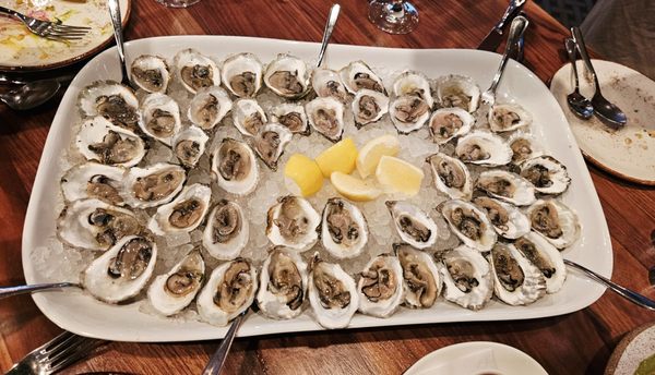 Bambara Cambridge by null Bambara Cambridge by null