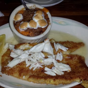 Sal's Ballyhoo's - Yellowtail Hemingway - Seafood Near Me - Key Largo, Florida Sal's Ballyhoo's - Yellowtail Hemingway - Seafood Near Me - Key Largo, Florida