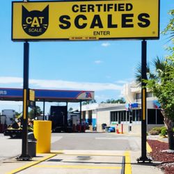 TA - Cat Scales