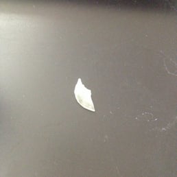 Sharp plastic shard