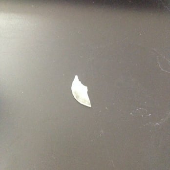 Classic Donut - Sharp plastic shard - Donuts Near Me - Studio City, California