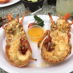 Medium sized lobster 22.99 Medium sized lobster 22.99