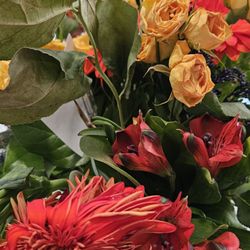 Petals for Less - Flowers don't last  5 days!