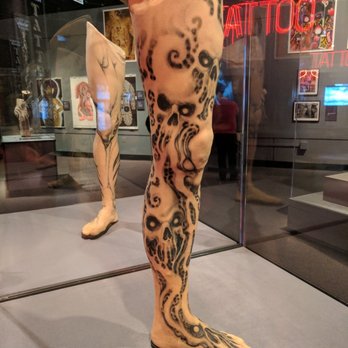Field Museum - Museums Near Me - Chicago, Illinois Field Museum - Museums Near Me - Chicago, Illinois