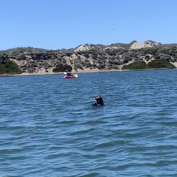 Kayak Connection - Sea Otter playing around - Rafting/Kayaking Near Me - Moss Landing, California Kayak Connection - Sea Otter playing around - Rafting/Kayaking Near Me - Moss Landing, California