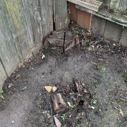 Stump to be removed