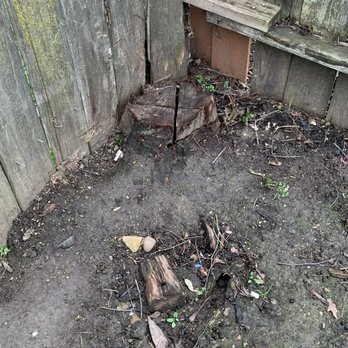 A J Tree Service - Stump to be removed - Tree Services Near Me - Sacramento, California