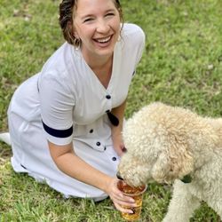 MnH Teas, Orlando, Florida, Dogs and Tea