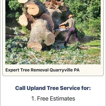 Upland Timber Tree Service - Upland Timber Tree Service - Tree Services Near Me Upland Timber Tree Service - Upland Timber Tree Service - Tree Services Near Me