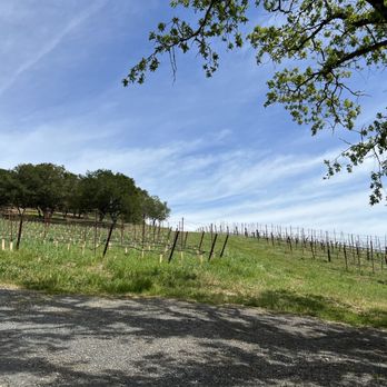 Porter Creek Vineyards - Wineries Near Me - Healdsburg, California Porter Creek Vineyards - Wineries Near Me - Healdsburg, California