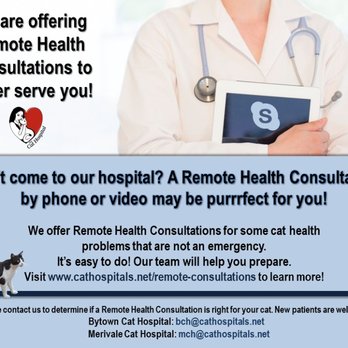 1. Merivale Cat Hospital