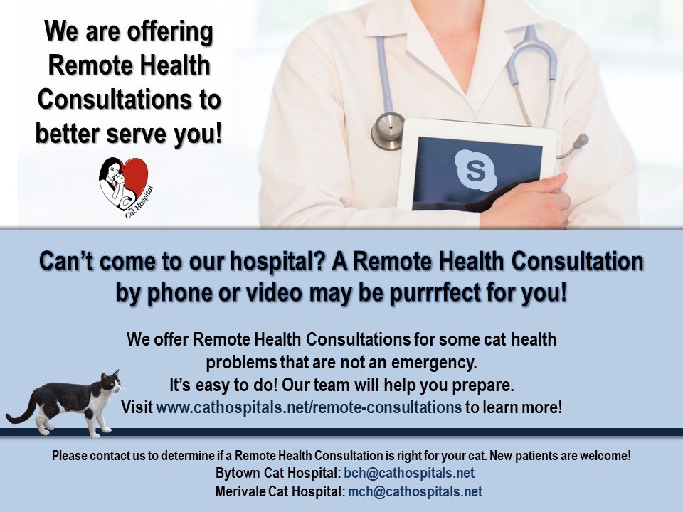 MERIVALE CAT HOSPITAL Updated September 2024 1038 Merivale Rd