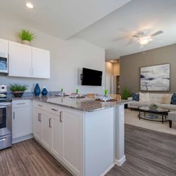 Vistoria On Mountain View