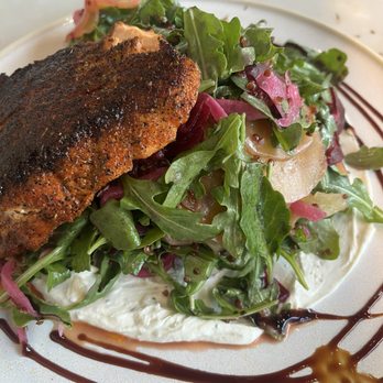 The Library - Beet Salad with blackened salmon - Breakfast & Brunch Near Me - St Petersburg, Florida The Library - Beet Salad with blackened salmon - Breakfast & Brunch Near Me - St Petersburg, Florida