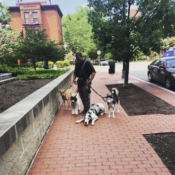 Atlas Doghouse - Pet Boarding Near Me - Washington, DC, District of Columbia