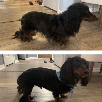 Adorable Pet Grooming - Pet Groomers Near Me - Noblesville, Indiana Adorable Pet Grooming - Pet Groomers Near Me - Noblesville, Indiana
