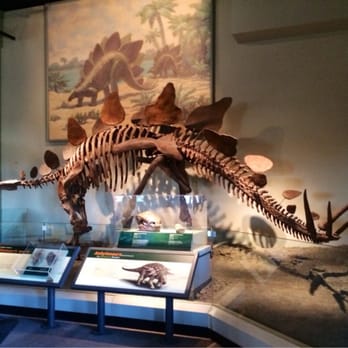 Field Museum - Museums Near Me - Chicago, Illinois Field Museum - Museums Near Me - Chicago, Illinois