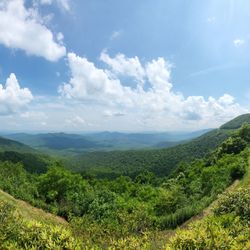 Pisgah Inn Observation Deck