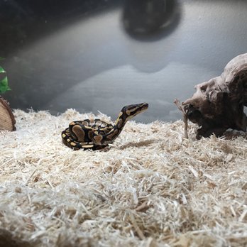 Pet's & Such - Pet Stores Near Me - Salt Lake City, Utah