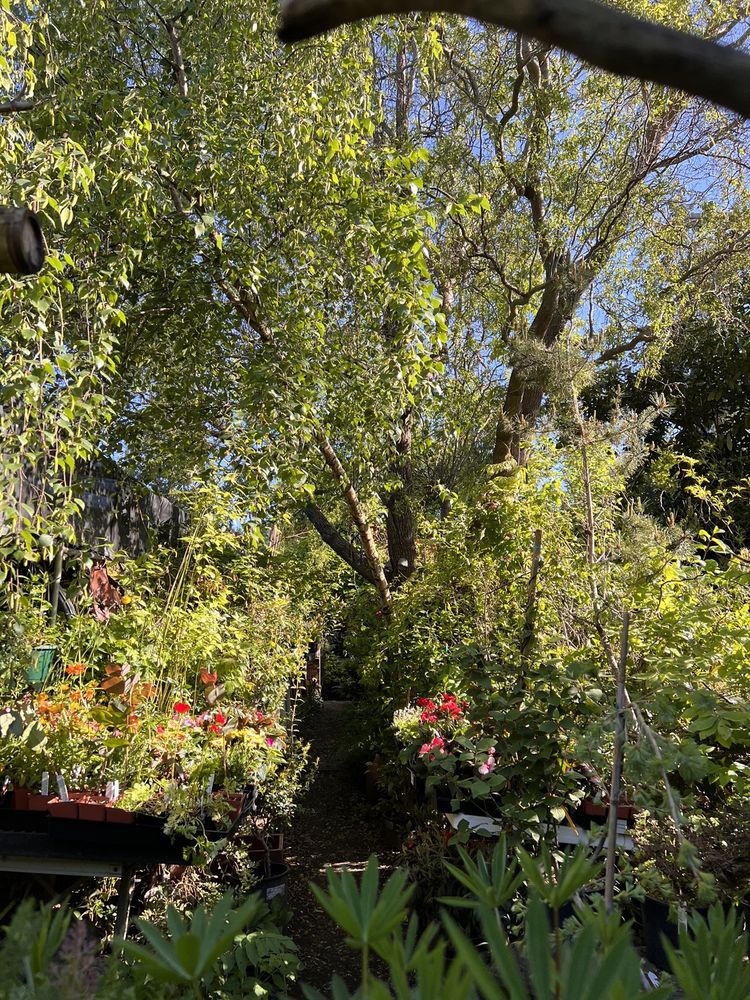 FOX HOLLOW CREEK NURSERY Updated October 2024 833 W 28th Ave