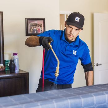 Bed Bugs Arizona - Bed Bugs Arizona - Experts in Bed Bug Removal Phoenix - Pest Control Near Me Bed Bugs Arizona - Bed Bugs Arizona - Experts in Bed Bug Removal Phoenix - Pest Control Near Me