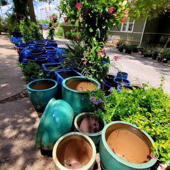 CALVERT'S PLANT INTERIORS - Updated December 2025 - 77 Photos & 23