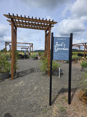 Adelsheim Vineyard by null