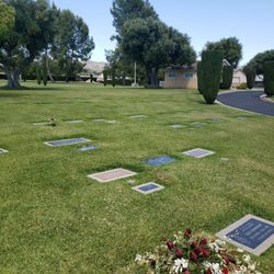 Wildomar Cemetery Dist