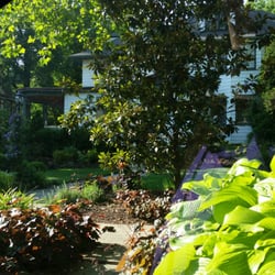 Leading Smiles - The beautiful gardens at the front of the office they actually calm you on the way up thr walk