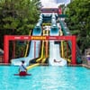 Downhill Double Dipper gift card