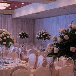 Centre Floral Hollandia