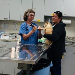 Vista Veterinary Hospital - Dr. Batdorf