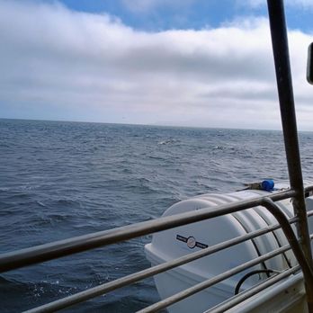 Island Packer Cruises - Boating Near Me - Ventura, California