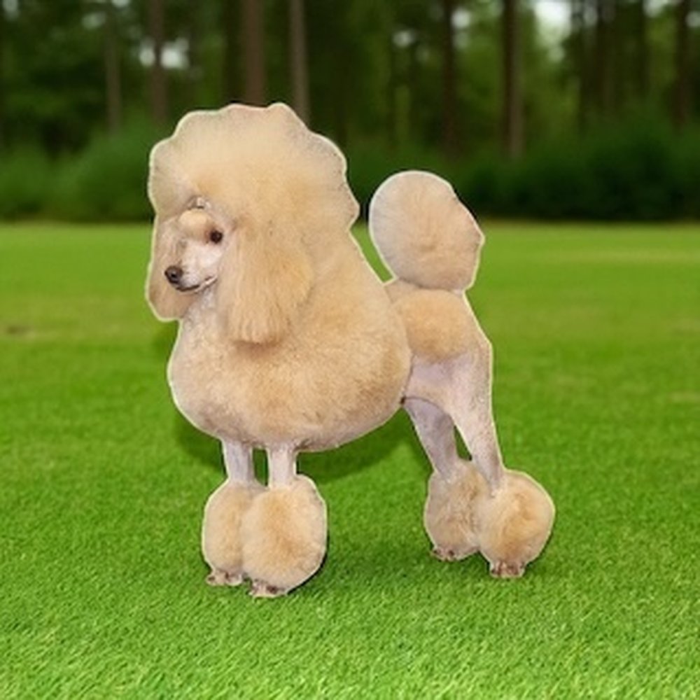 TOP 10 BEST Raw Dog Food in Ocala, FL - Updated 2026 - Yelp