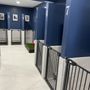 Photo of D'Doggy Daycare