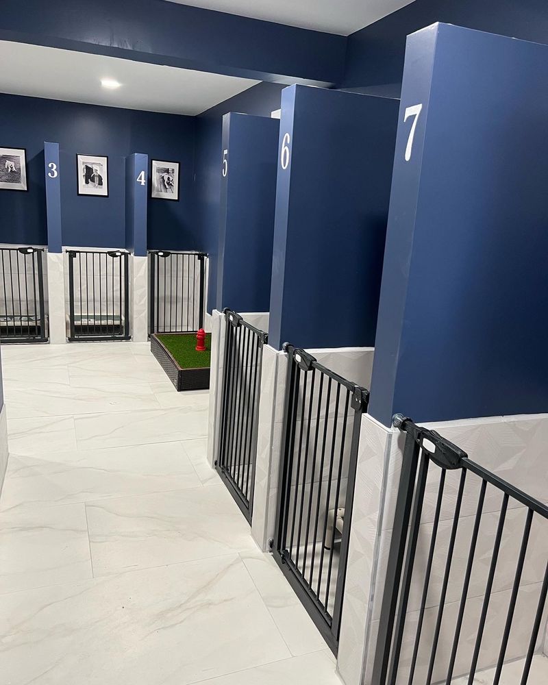 D’DOGGY DAYCARE Updated September 2024 538 Islip Ave, Islip, New