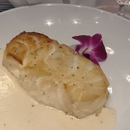 Chilean Sea Bass Chilean Sea Bass