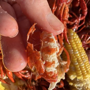 THE ROCK AT LA CANTERA - Updated February 2026 - 75 Photos & 18 Reviews