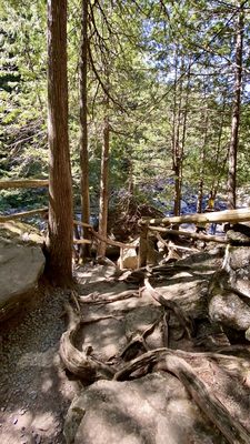 Natural Stone Bridge & Caves by null