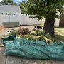 Photo of Out Of Order Cleanouts