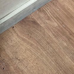 Anytime Fitness - Floors look like they haven't been cleaned in I don't know how long