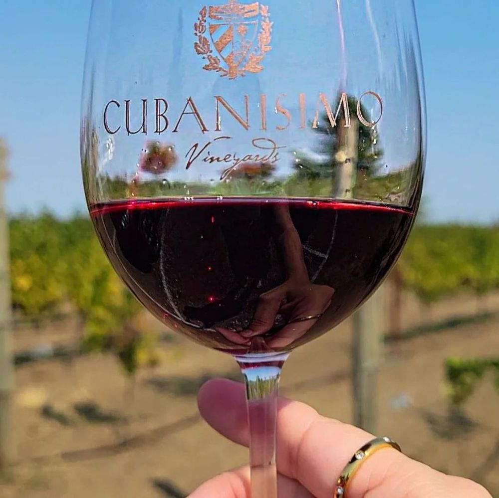 Cubanisimo Vineyards - wedding in Salem, OR
