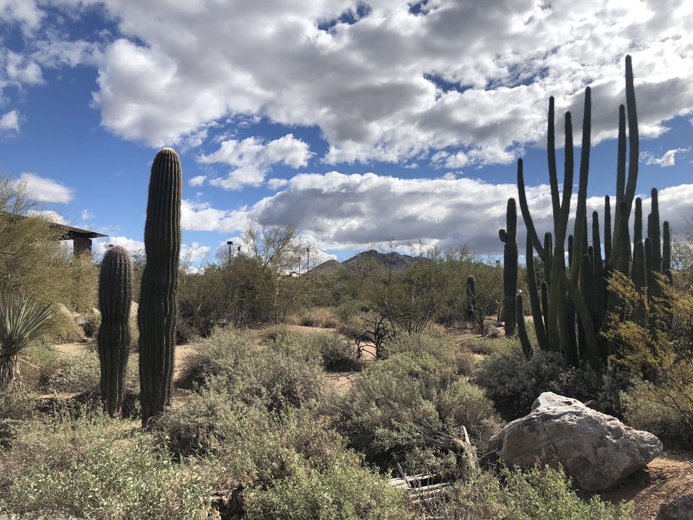 Florence Ely Nelson Desert Park