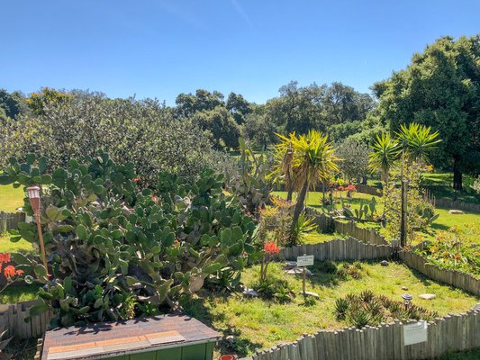 Turtle & Tortoise Rescue of Arroyo Grande