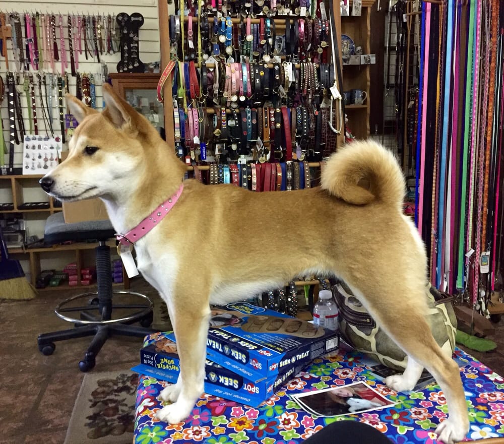 OUR BEST FRIENDS 18 Reviews 2200 Petaluma Blvd N, Petaluma