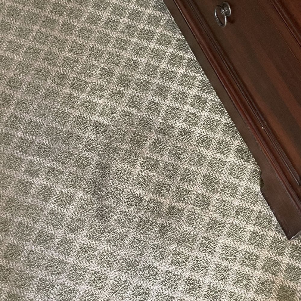Kosherica Enterprises - The carpet at resort from kosherica - Travel Services Near Me Kosherica Enterprises - The carpet at resort from kosherica - Travel Services Near Me