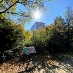 Galatyn Woodland Preserve - Blue cross blue shield