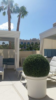 Delano Beach Club by null