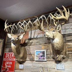 Red Ram Saloon - Interior decor